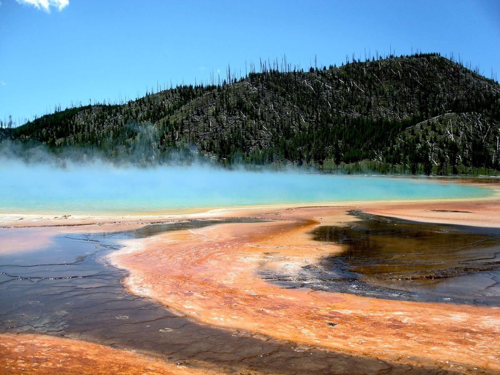Grand Prismatic Spring à Yellowstone